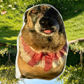 Custom Pet Pillow 3D Printed from Photo - Personalized Shaped Hug Pillow with Your Pet's Face, Soft Plush Stuffed Pillow for Dog & Cat Lovers, Birthday Anniversary & Memorial Gift, 2 Sizes (10"/16")